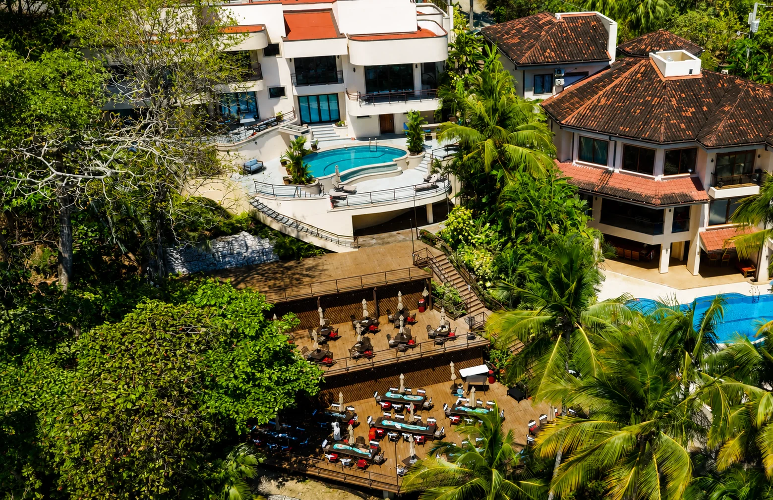 Tropical greenery around the estate